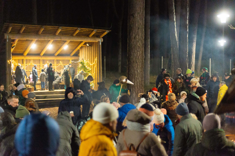 Ziemas saulgrieži Jūrmalas brīvdabas muzejā