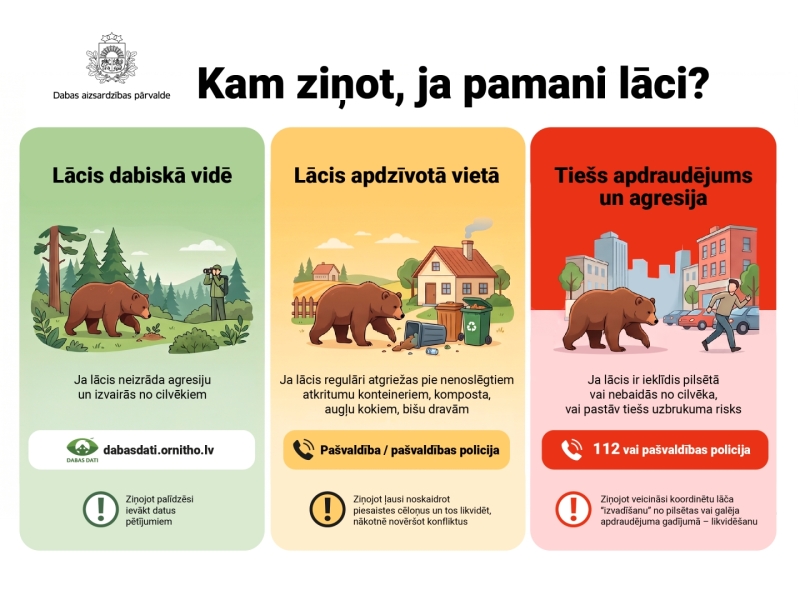 Infografika, ja pamani lāci