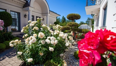 Rozes