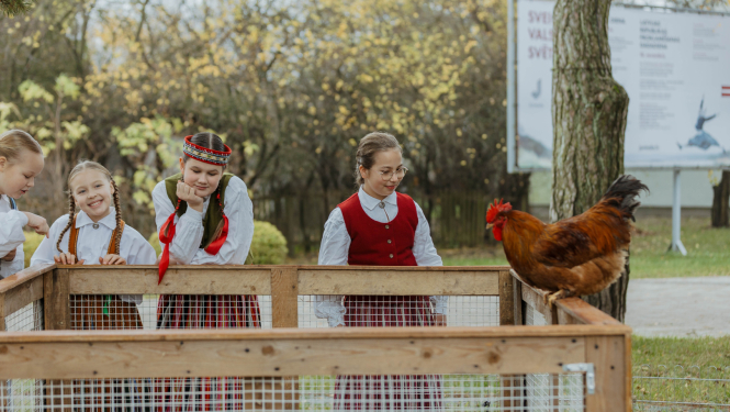 Bērni tautu tērpos pie aploka, uz kura stāv gailis
