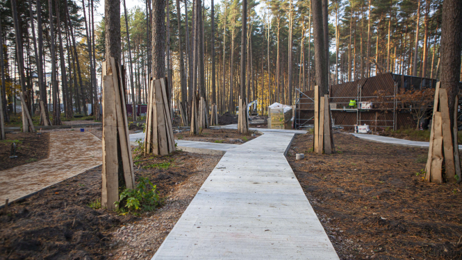 Kauguru parka celiņš