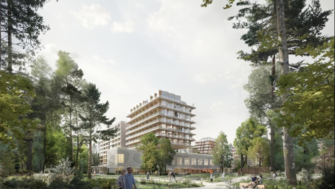 Attīstītāja ieceres pilnveidotais priekšlikums. Vizualizācija