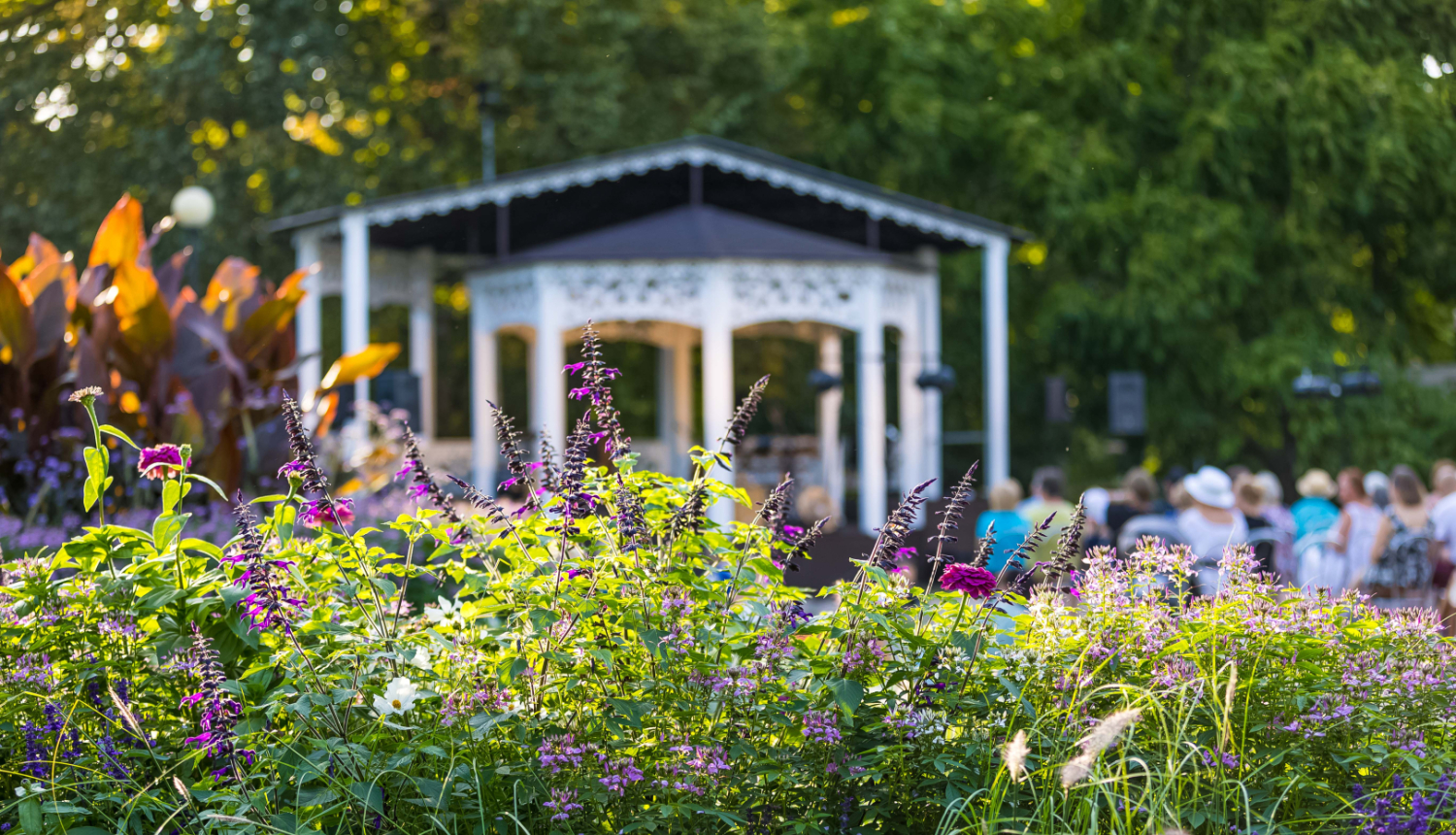 Ziedu dobe ar violetiem un zaļiem augiem priekšplānā, fonā baltas koka estrādes paviljons un skatītāji, kas pulcējušies brīvdabas koncertā zaļojošā parkā saulainā dienā