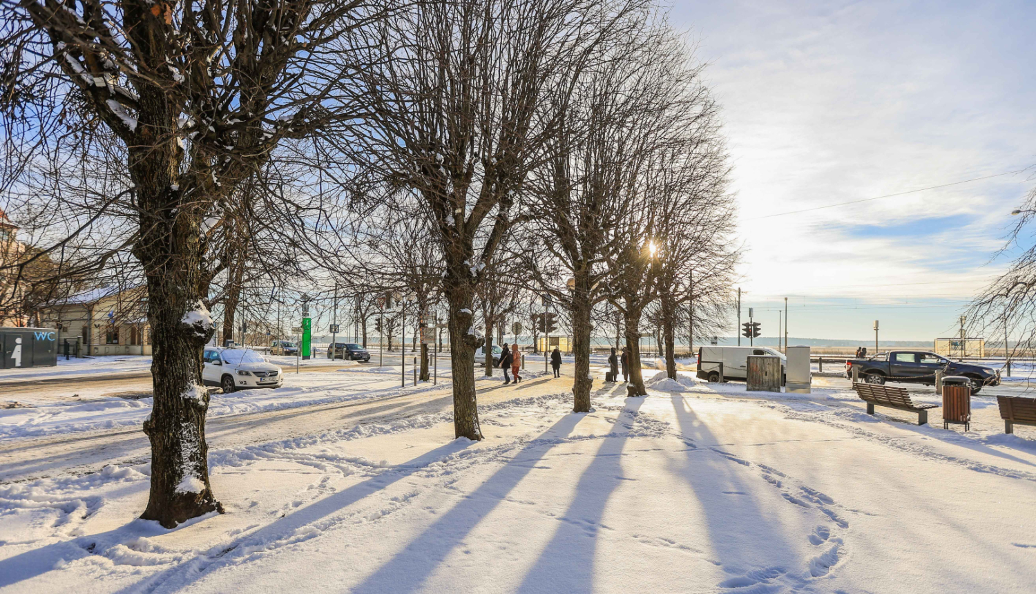 Saulaina diena Jūrmalas parkā ar kokiem