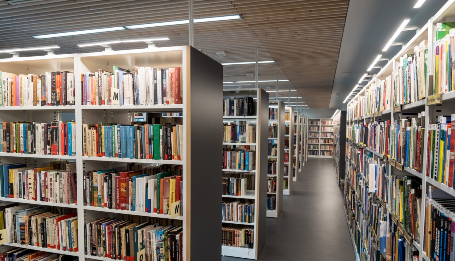 Dubultu bibliotēkas plaukti