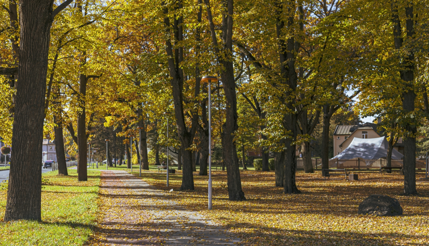 Rudens lapas