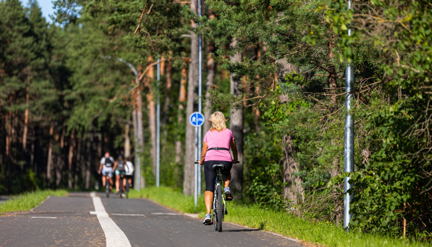 veloceliņš Priedainē