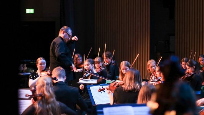 Em.Dārziņa mūzikas skolas simfoniskais orķestris