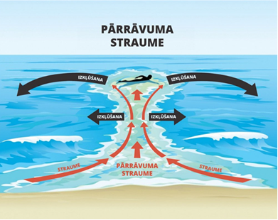 Infografika