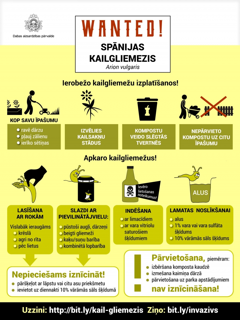 infografika