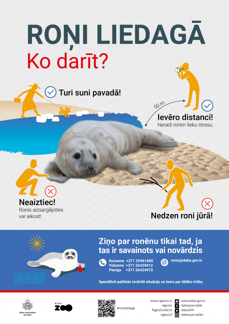 Infografika Roņi liedagā