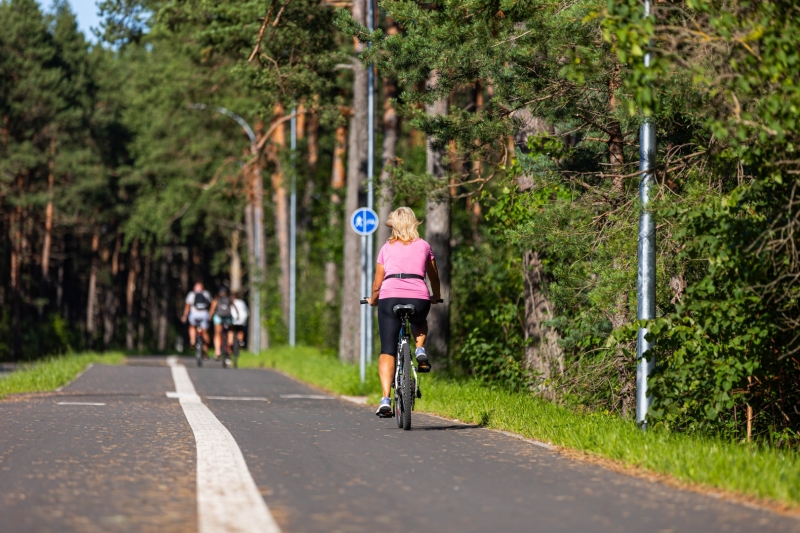 veloceliņš Priedainē