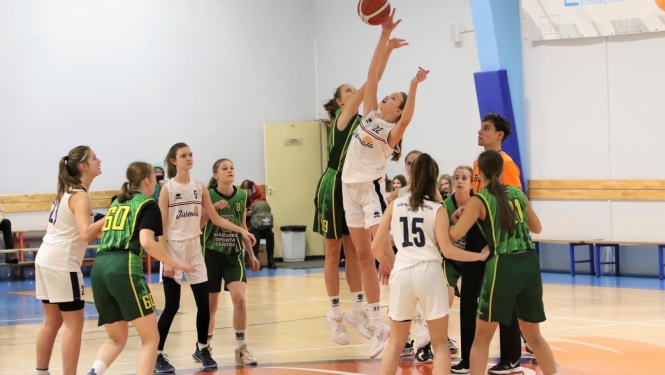 Basketbolistes