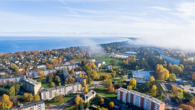 Kauguri no putna lidojuma