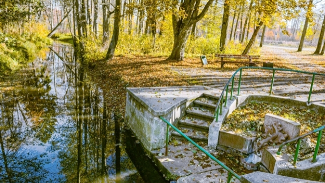 Publiskā apspriešana par koku ciršanu Ķemeru parkā