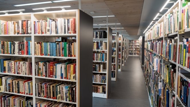 Dubultu bibliotēkas plaukti