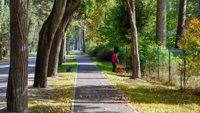 Savāktās rudens lapas var nodot bez maksas