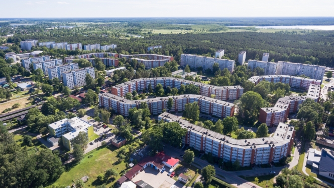 Kauguri no putna lidojuma