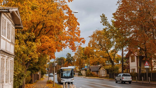 Autobuss rudenī