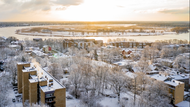Ziemas skats