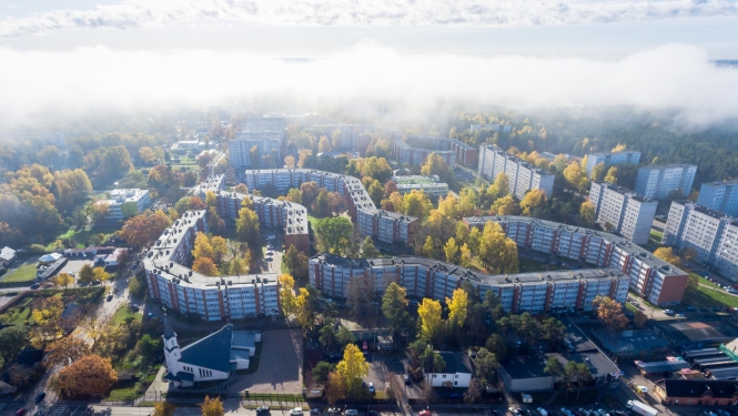 Kauguri no putna lidojuma
