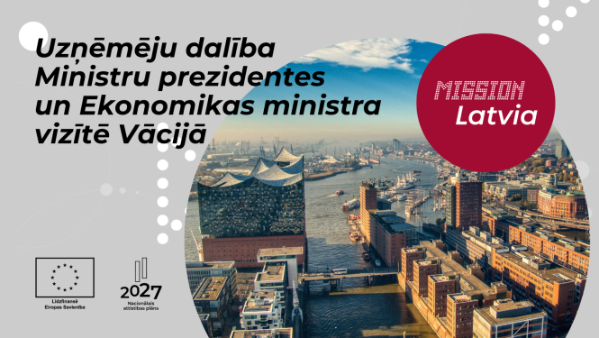 Vizīte