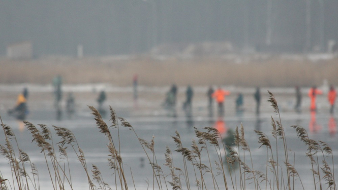 Bļitkotāji uz ledus