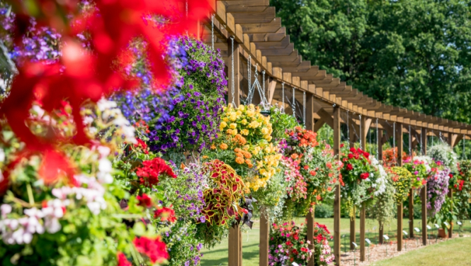 Vēl šonedēļ var pieteikties konkursam “Jūrmalas pilsētas skaistākais īpašums 2019”