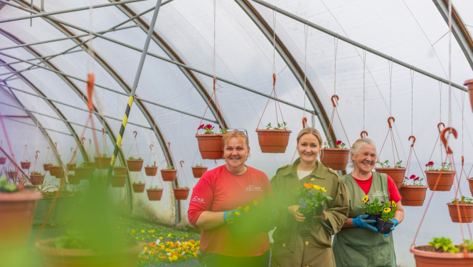 Bulduru siltumnīcas