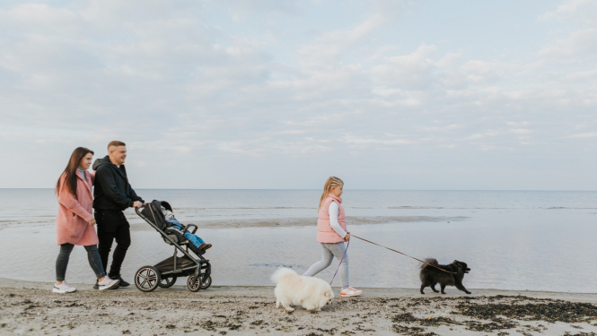Cilvēki pludmalē ar suņiem