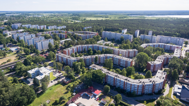 Kauguri no putna lidojuma