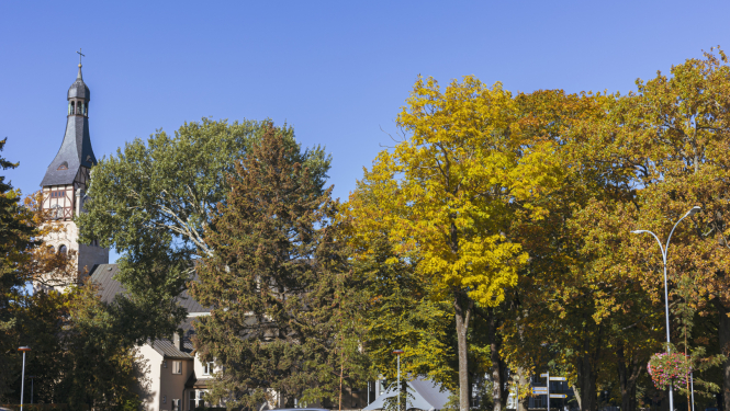 rudens skats uz pilsētu, pa ielu brauc mašīnas un fonā redzama baznīca