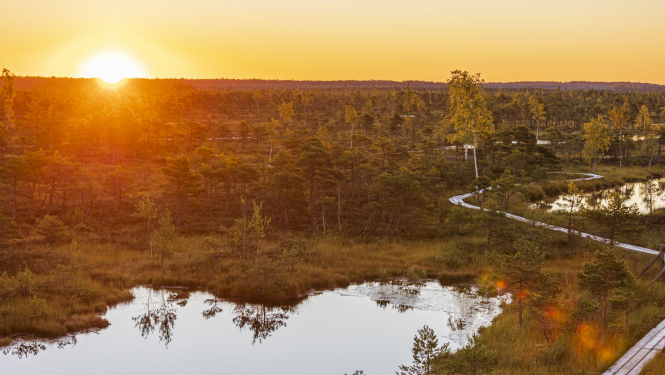 Lielā Ķemeru tīreļa laipa