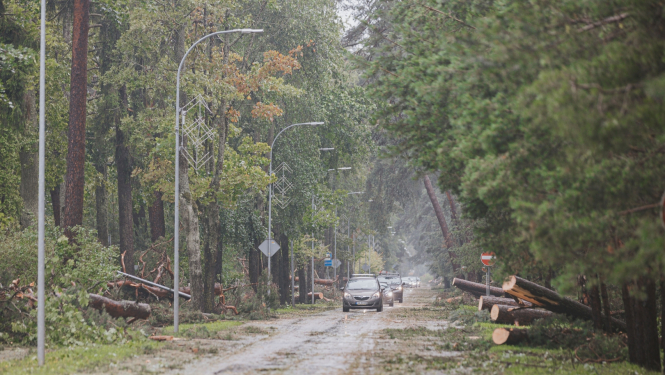 Vētra Jūrmalā, ceļš