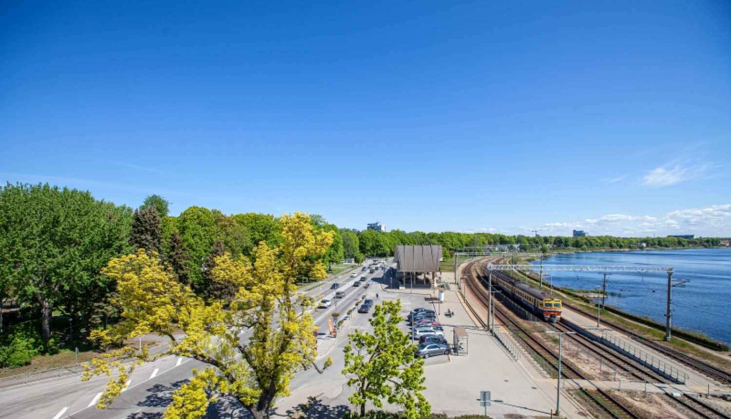 Publiskā apspriešana par koku ciršanu Dubultos