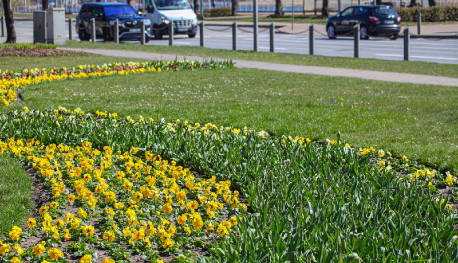 Jūrmalas puķu dobes šovasar ziedēs Latvijas novadu tautastērpu krāsās