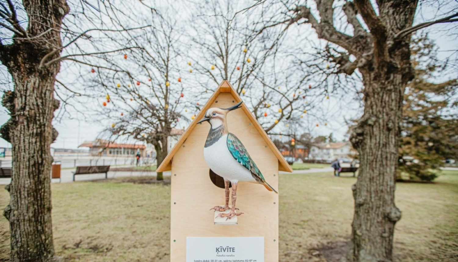 Trīs idejas maija brīvdienām Jūrmalā: kaķu meklēšanas ekspedīcija, orientēšanās spēle un putnu atpazīšana