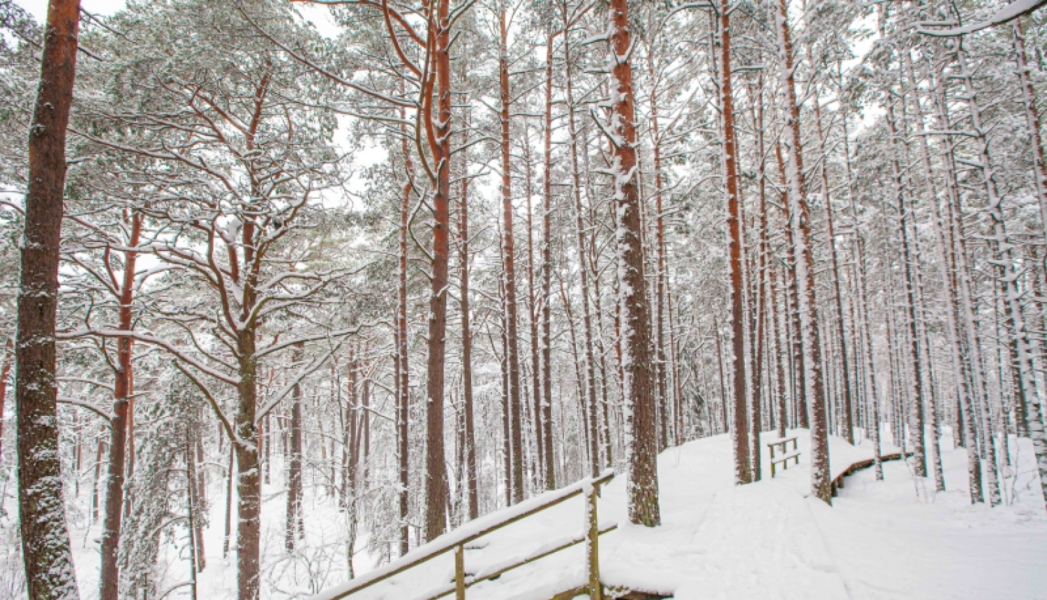 Stājušies spēkā Ragakāpas dabas parka aizsardzības un izmantošanas noteikumi