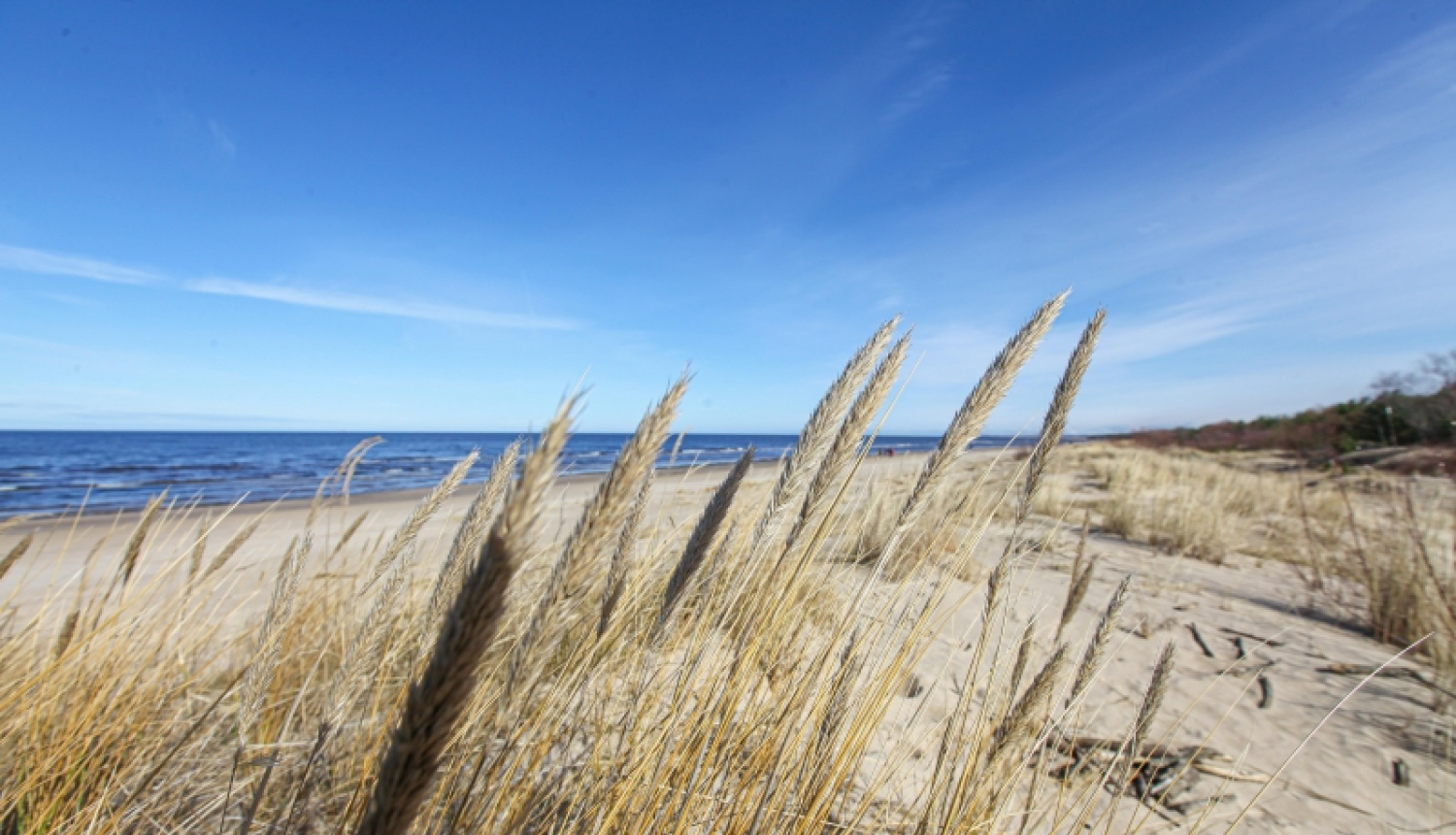 Nodrošinās labu pludmales kvalitāti
