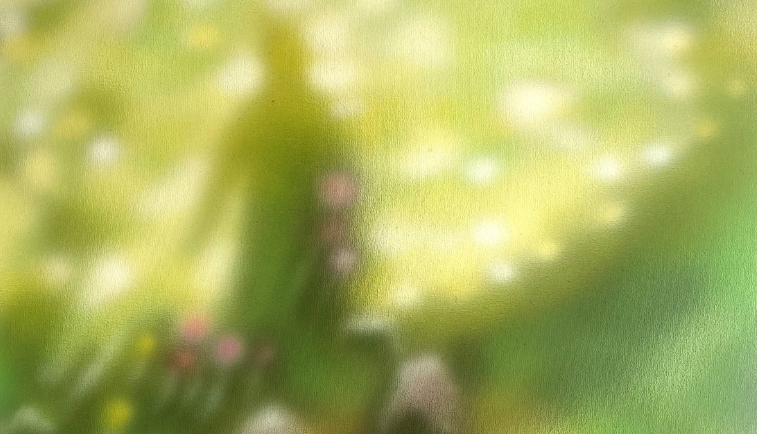 Dāvis Ozols. Krītoša ēna virs puķu dobes. 2025. Audekls, akrils. 60 x 60 cm