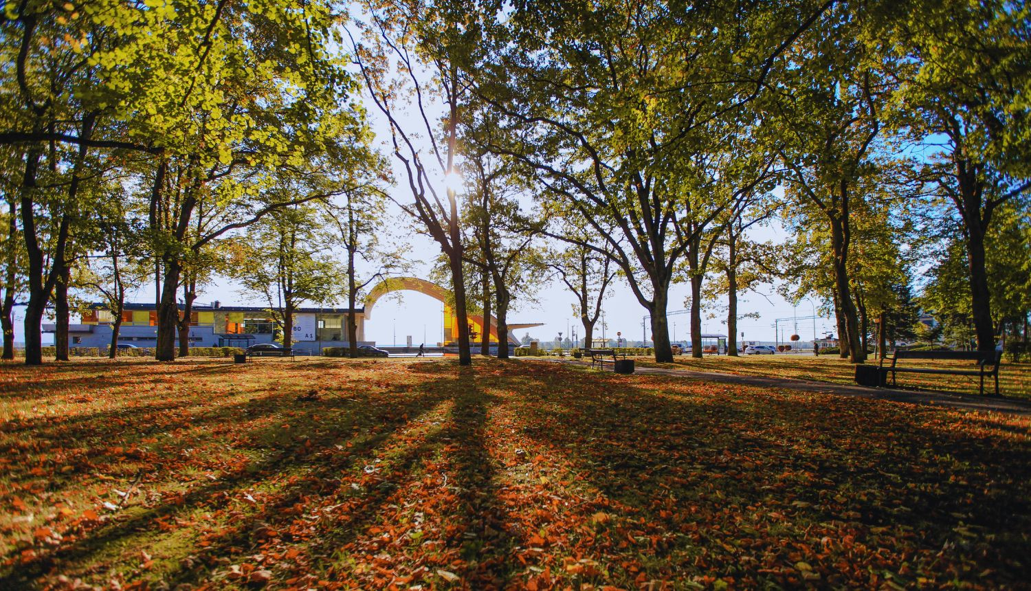 Attēlā redzams saulains rudens skats parkā pie Dubultu stacijas Jūrmalā