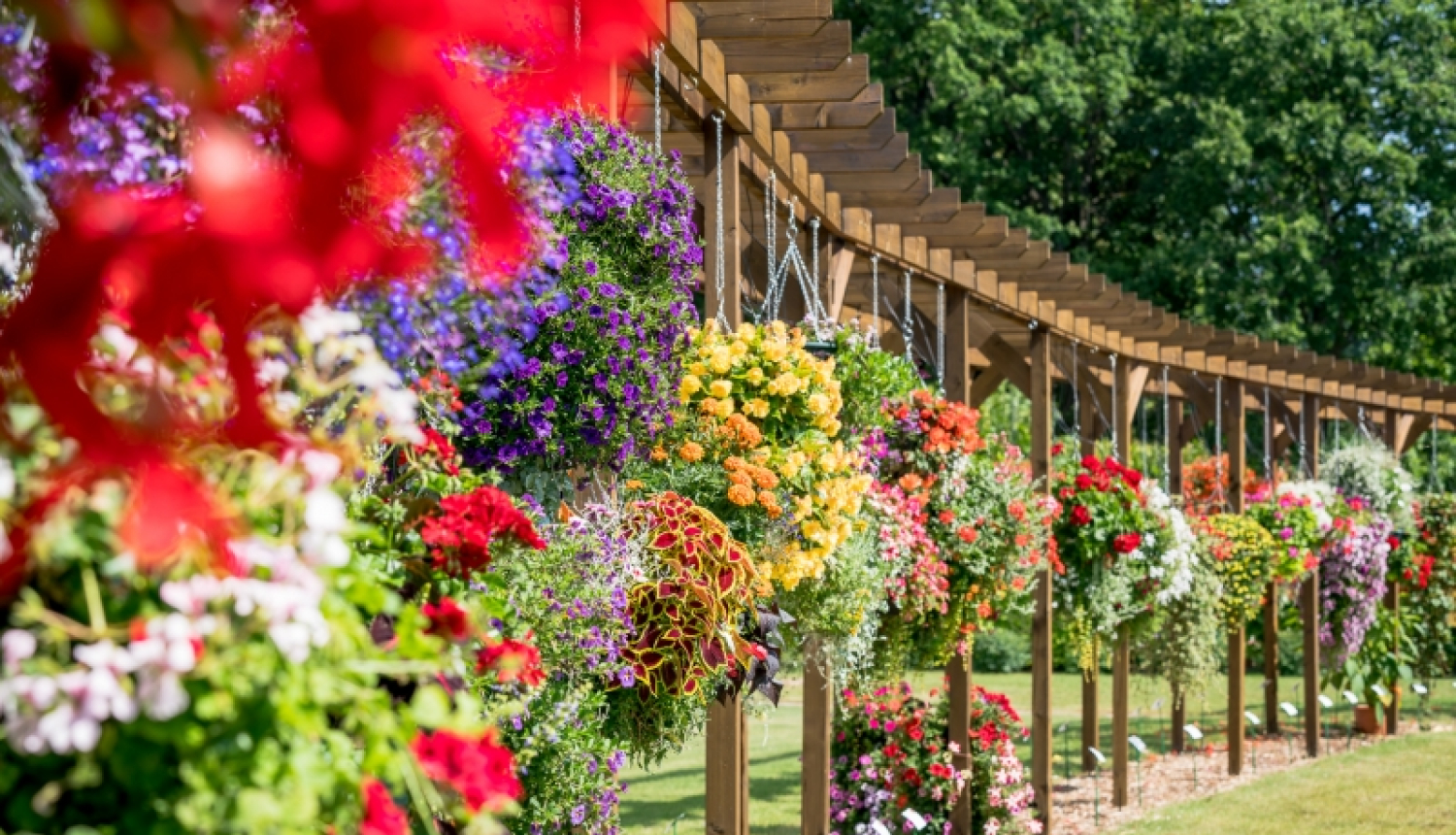 Vēl šonedēļ var pieteikties konkursam “Jūrmalas pilsētas skaistākais īpašums 2019”