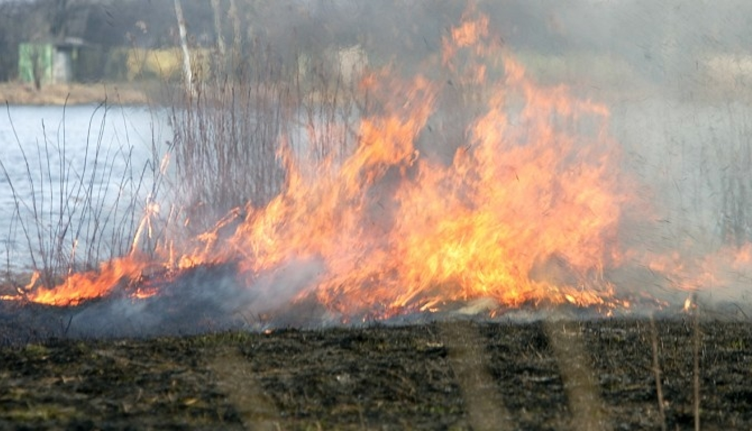 Atgādinām – kūlas dedzināšana ir aizliegta