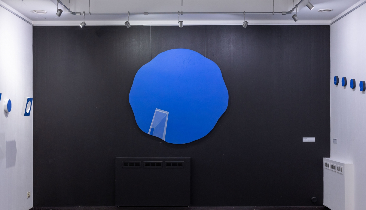 Adriāna Vīgnere. Humānās konstrukcijas