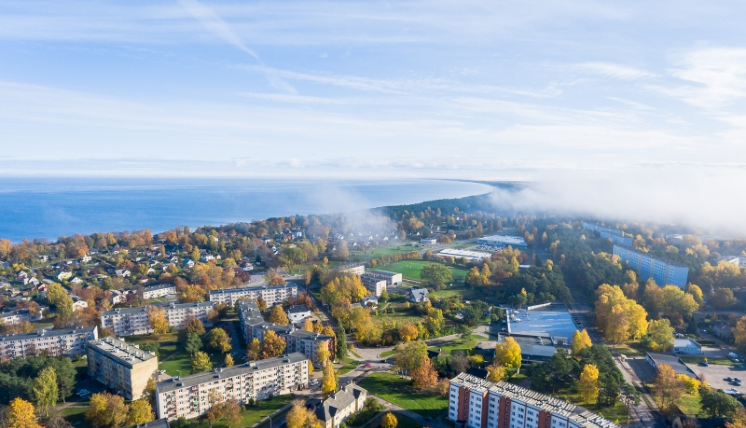 Kauguri no putna lidojuma