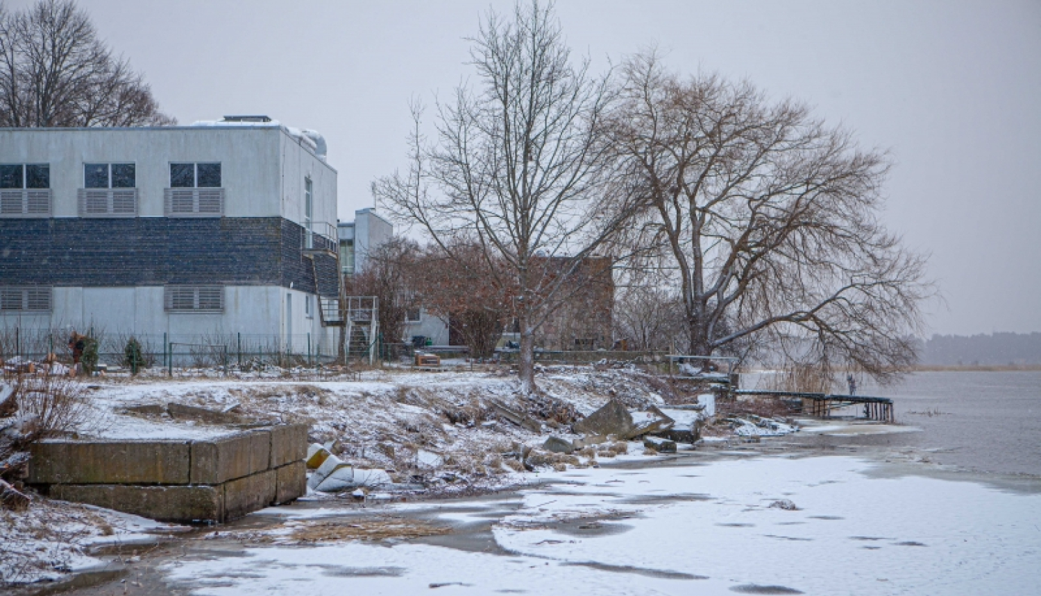 Lielupes krasta stiprināšanas projektā saglabās 75 kokus