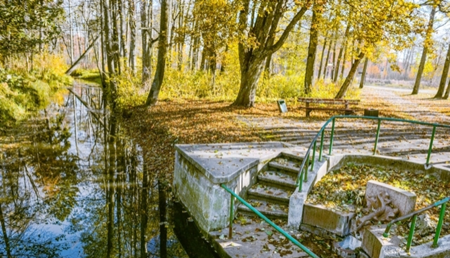 Publiskā apspriešana par koku ciršanu Ķemeru parkā