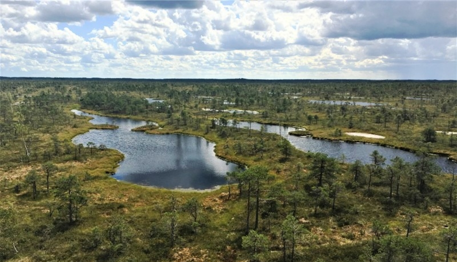 Uzsāk Ķemeru Nacionālā parka dabas aizsardzības plāna izstrādi