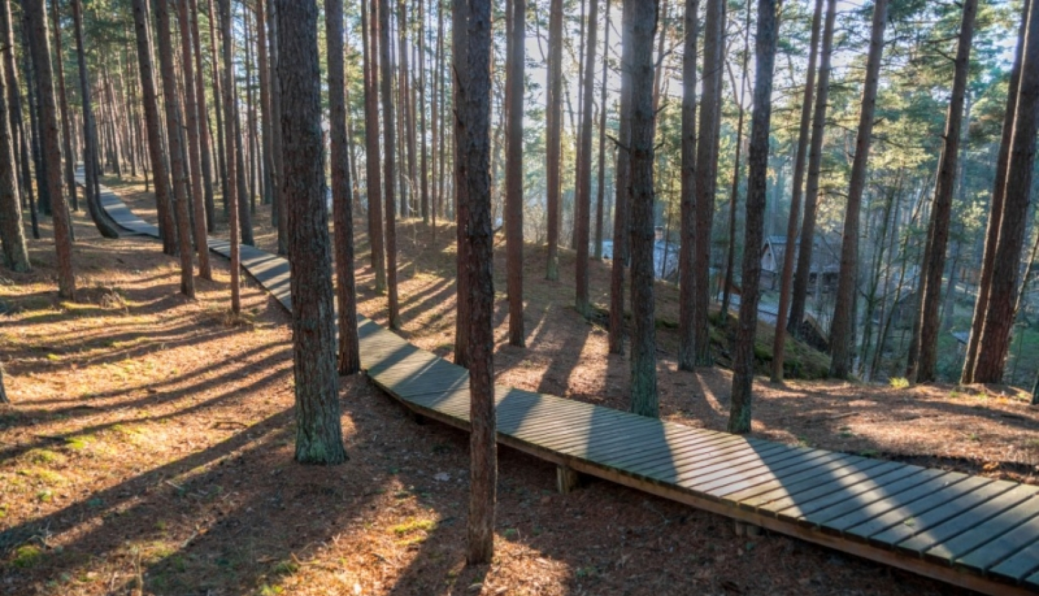 Informācija par dabas parka "Ragakāpa" dabas aizsardzības plāna izstrādi