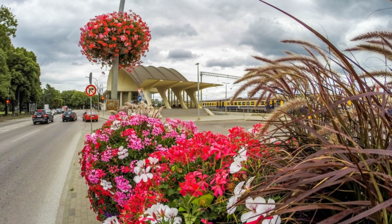 Jūrmalas apstādījumi saņem "Latvijas ainavu arhitektūras balvas 2019" balvu